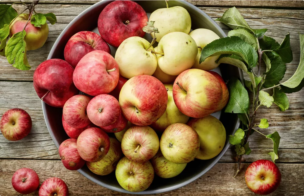 The apple is a cocktail that provides you with nutrients and many other elements necessary for good health