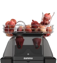 Foto del detalle de Z06 Exprimidores en color  adecuado para hosteleria